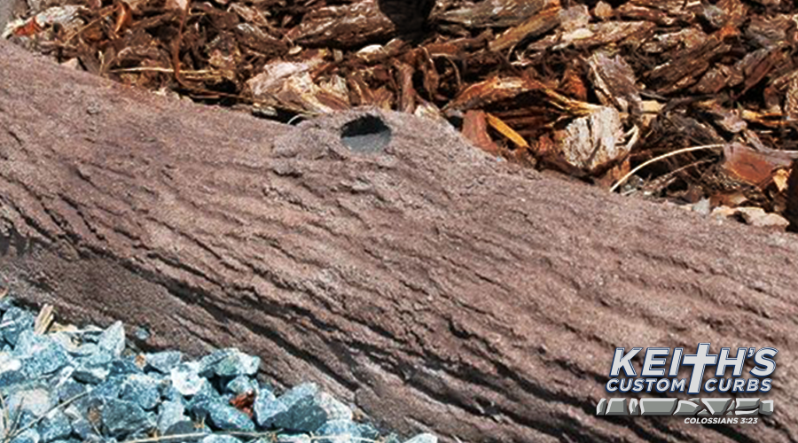 Bark Texture