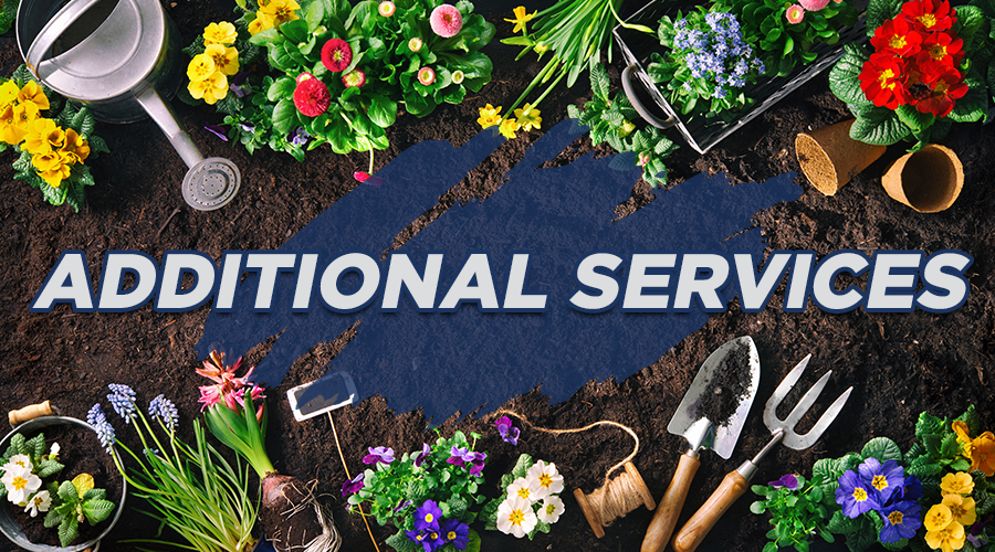 Additional Services