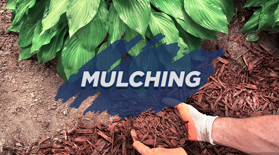 Mulching